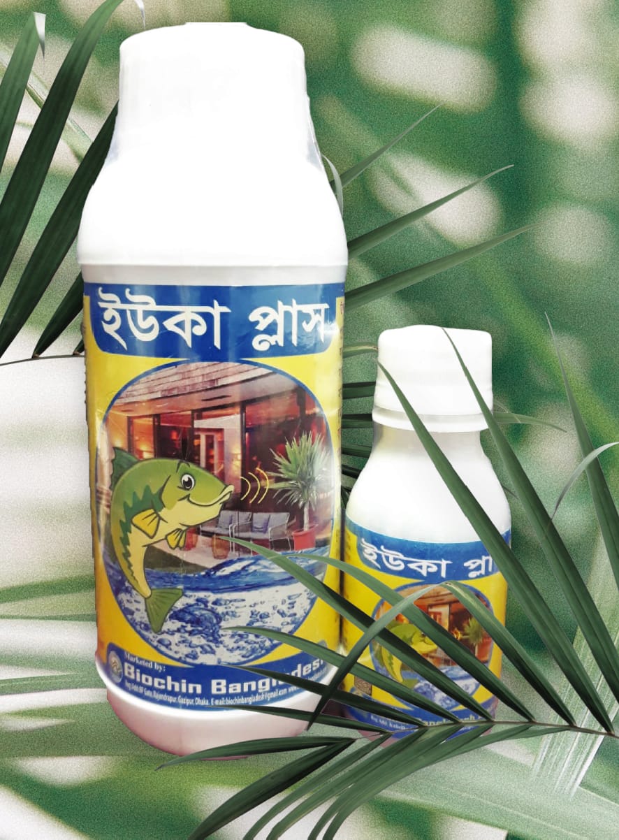 Yucca Plus (ইউকা প্লাস)