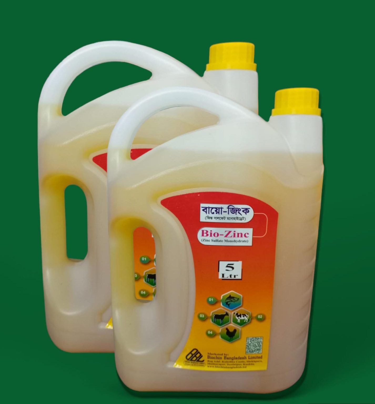 Bio-Zink (বায়ো-জিংক)